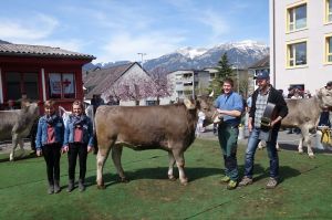 k-6Rindermiss OB Vero VIKTORIA Ruedi Durrer